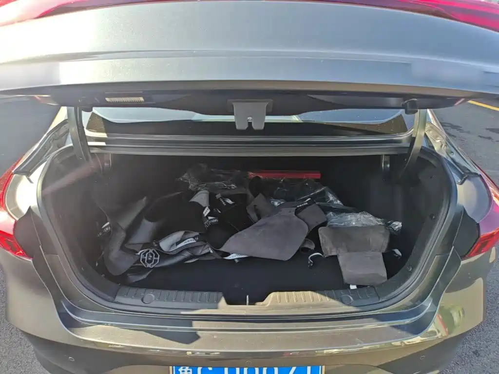 Changan Eado 2025 2024 PLUS Blue Whale NE 1.4T GDI DCT High Performance Edition