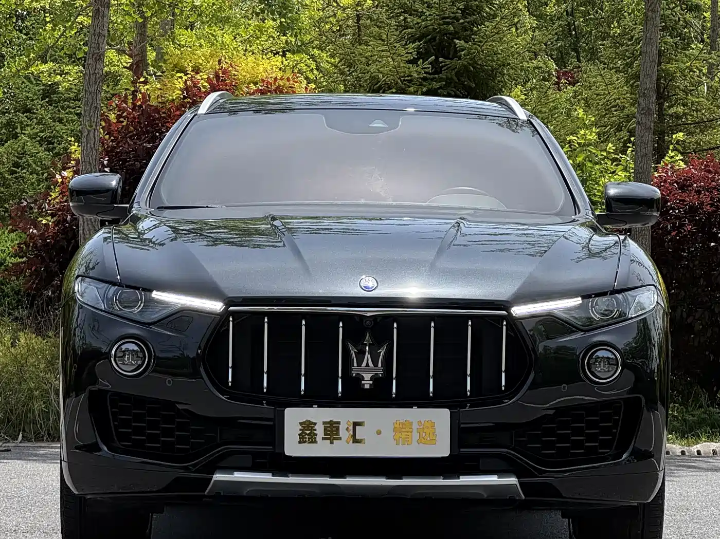 Maserati Levante 2018 3.0T Luxury Zegna Edition фото 2