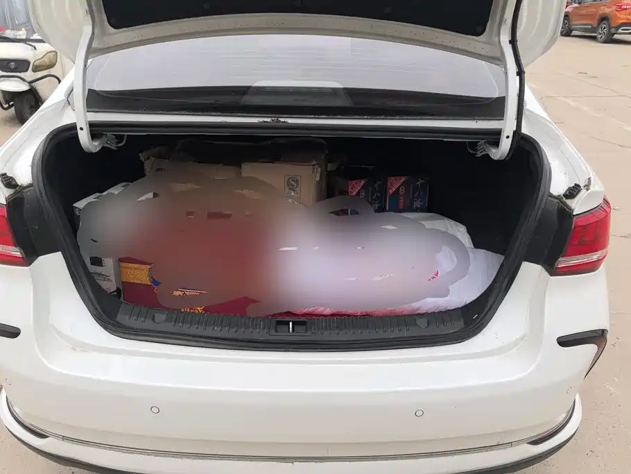 BAIC Beijing EU5 2021 2019 R500 Smart Wind Edition