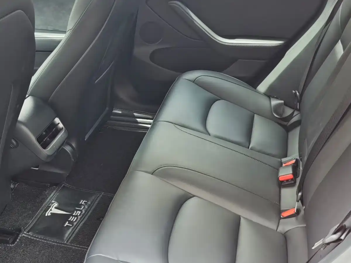 Tesla Model 3 (Import) 2019 2019 Standard Range RWD Upgraded Edition