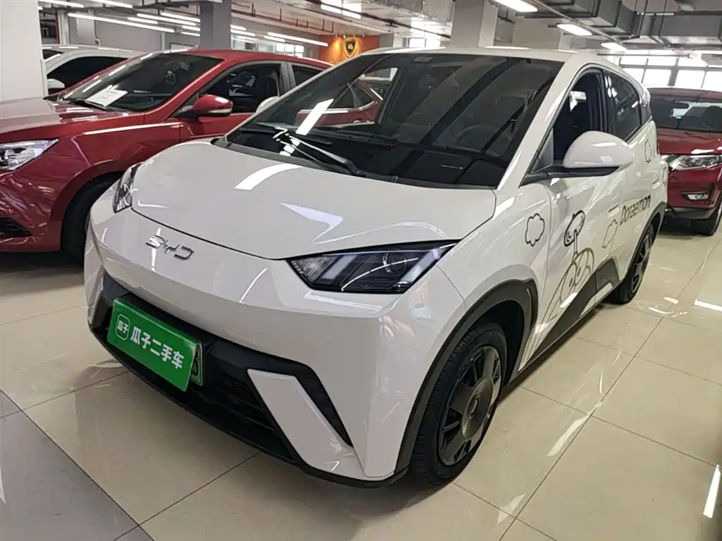BYD Seagull 2024 Glory Edition 305km Vitality Edition фото 2