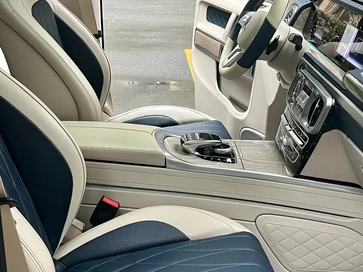 Mercedes-Benz G-Class 2020 G 500 Time Inscription Special Edition фото 17