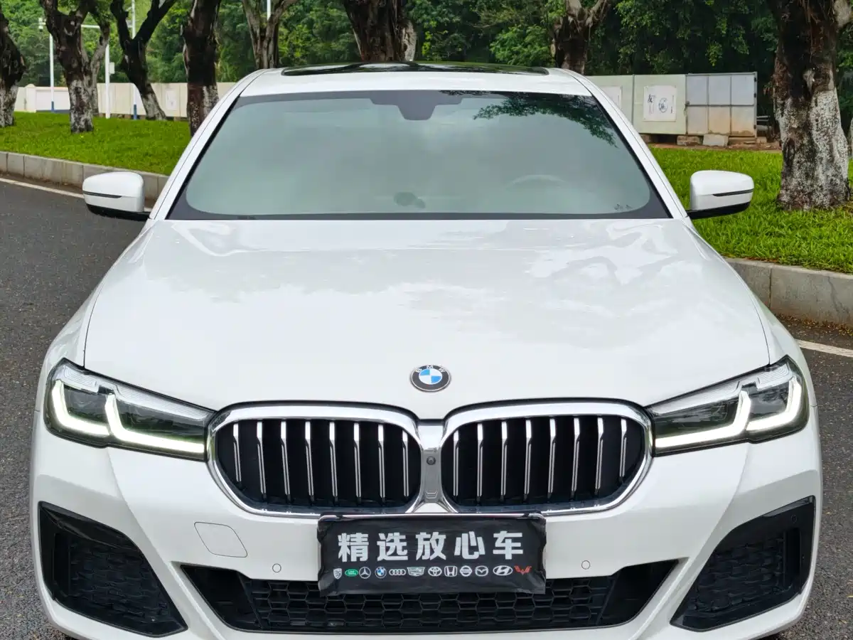 BMW 5 Series 2018 Facelift 530Li Leading M Sport Package фото 2
