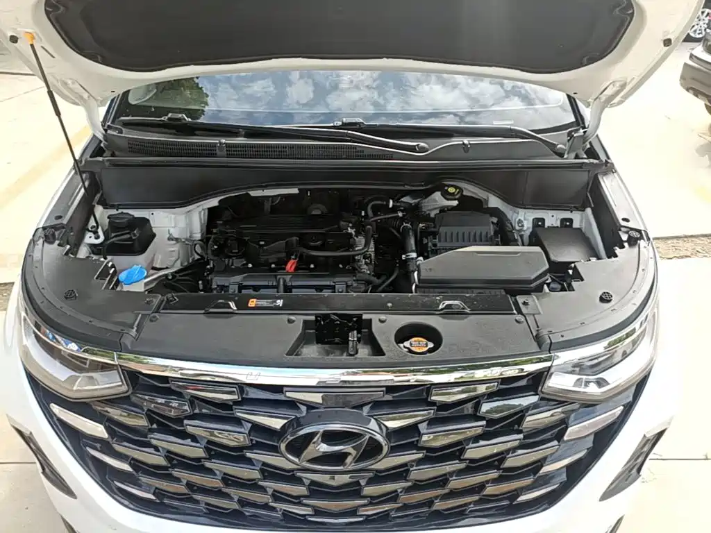 Фото 20 - Hyundai Custo