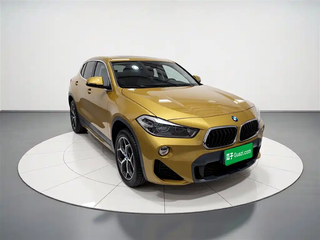 BMW X2 (Import) 2019 sDrive20i M Off-Road Package China VI фото 4