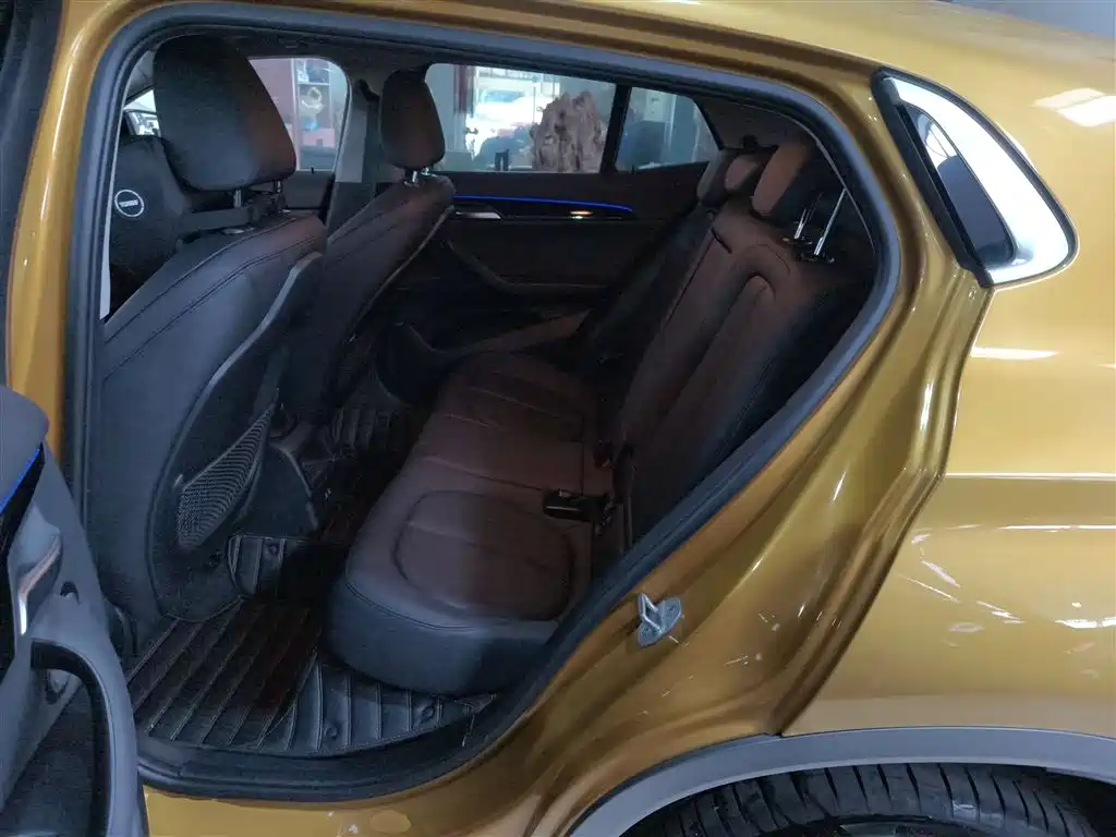 BMW X2 (Import) 2019 sDrive20i M Off-Road Package China VI фото 17