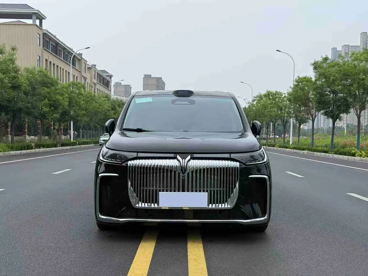 Voyah Auto Voyah Dreamer 2025 PHEV AWD Flagship Qian Kun Edition фото 2