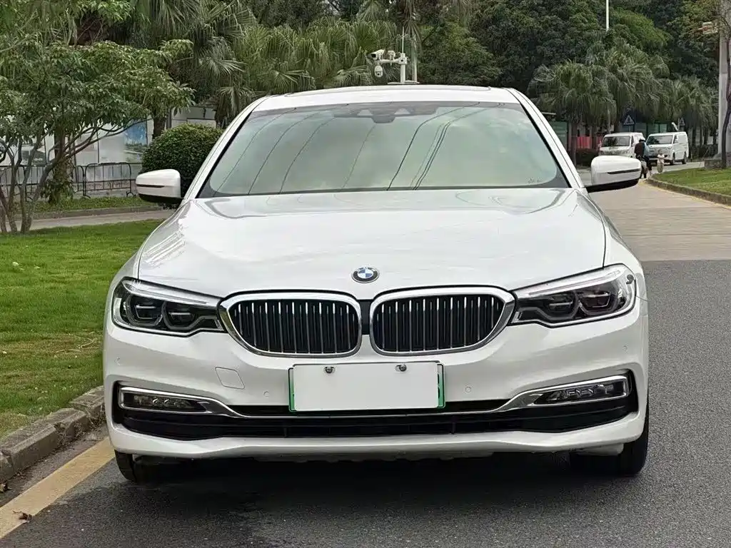 BMW 5 Series New Energy 2019 530Le Luxury Package фото 16