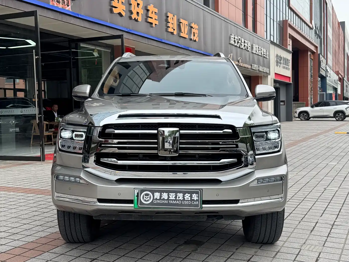 Tank 500 EV 2024 Hi4-T фото 2