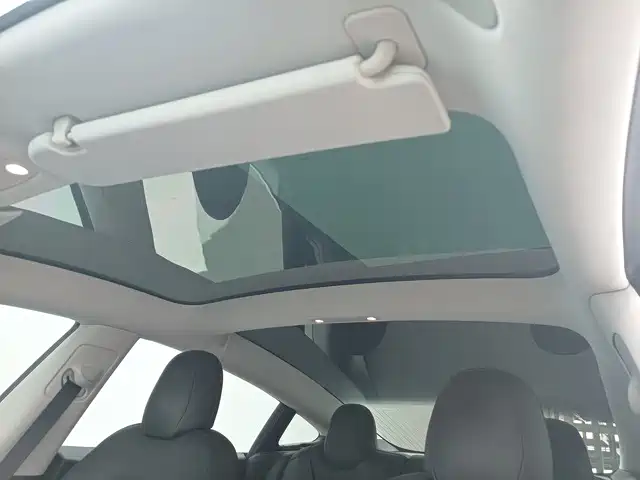 Tesla Model 3 2020 2020 Standard Range Rear-Wheel Drive Upgrade