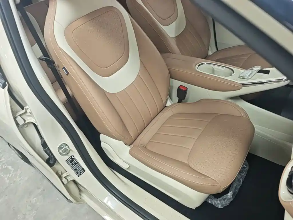 Wuling Motors Wuling Bingo 2026 2025 Model 333km Smart Premium