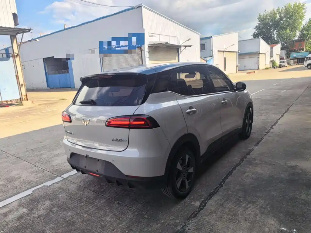 Wuling Motors Wuling Binguo PLUS 2024 2024 Model 330km 5-Seater