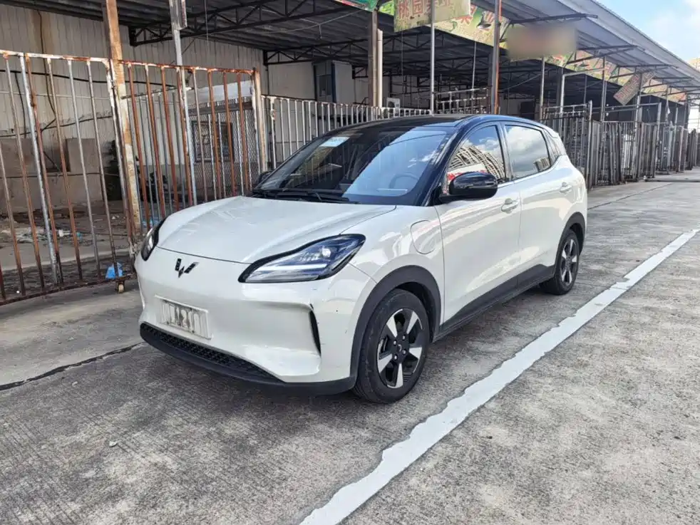 Wuling Motors Wuling Binguo PLUS 2024 2024 Model 330km 5-Seater