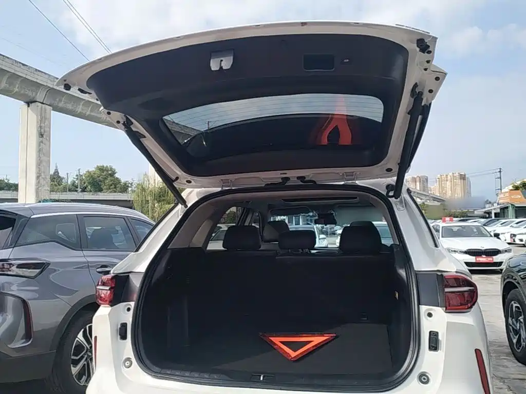 GAC Trumpchi Trumpchi GS4 PLUS 2023 2022 270T Automatic Starry Sky Edition