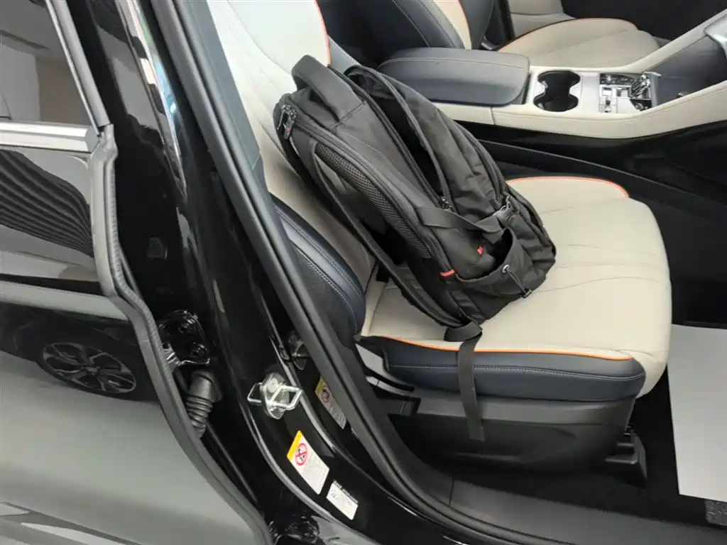 BYD Song PLUS PHEV 2024 Glory Edition DM-i 110km Flagship фото 25