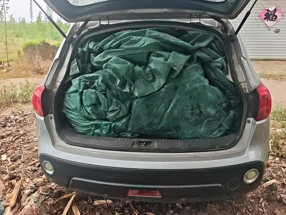 Фото 4 - Nissan Qashqai