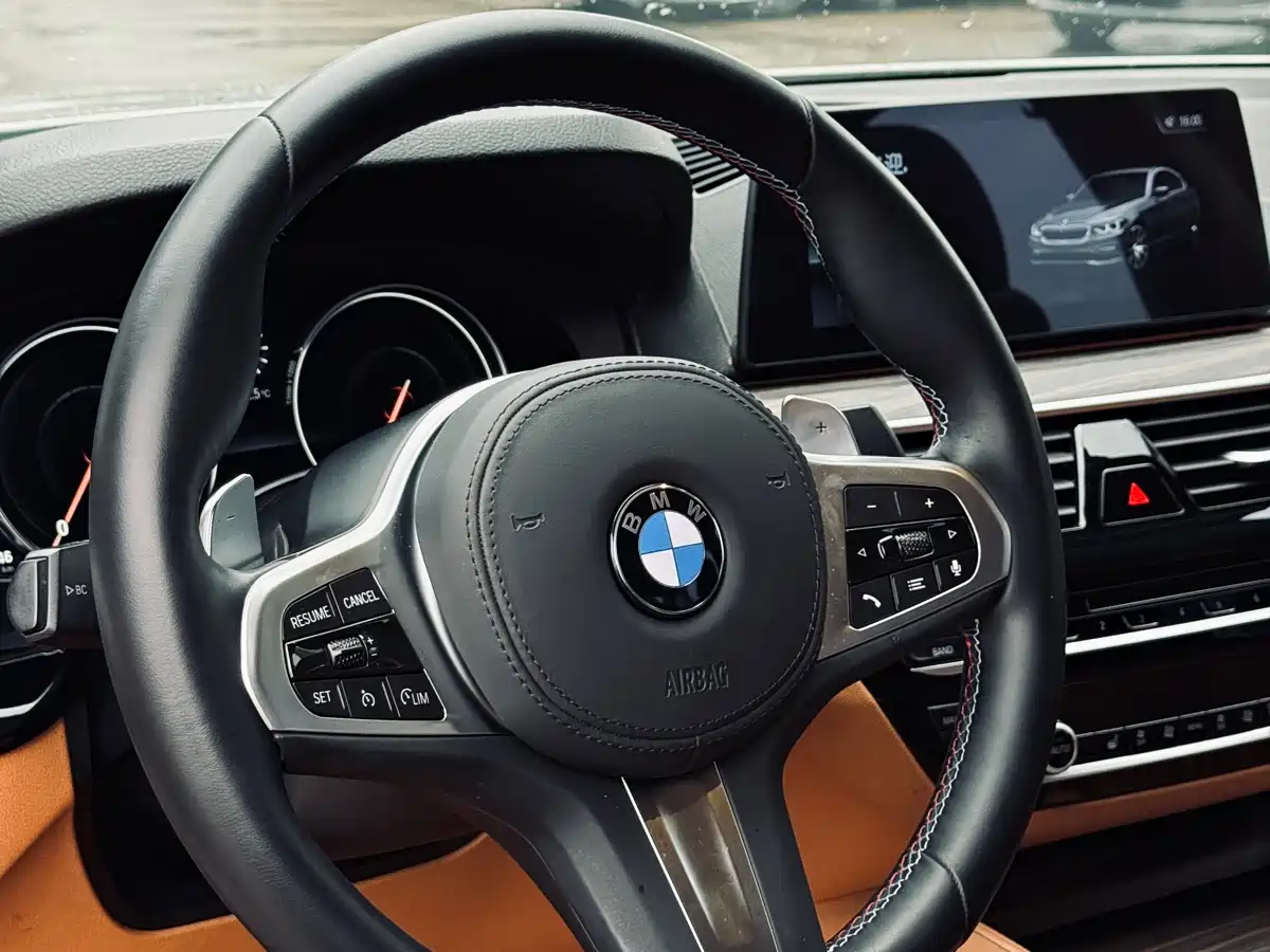 BMW 5 Series 2018 530Li Leading Luxury Package фото 19