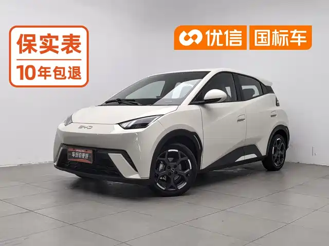 BYD Seagull 405km, Полёт