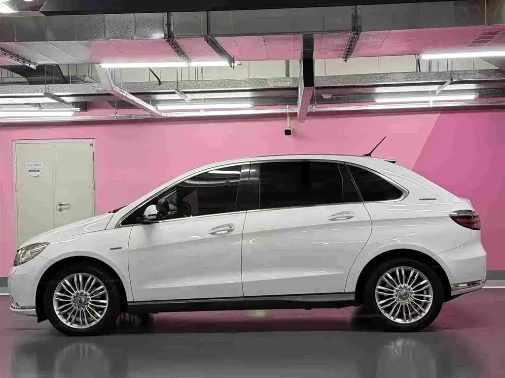 Denza Denza 2017 2017 Honor Edition