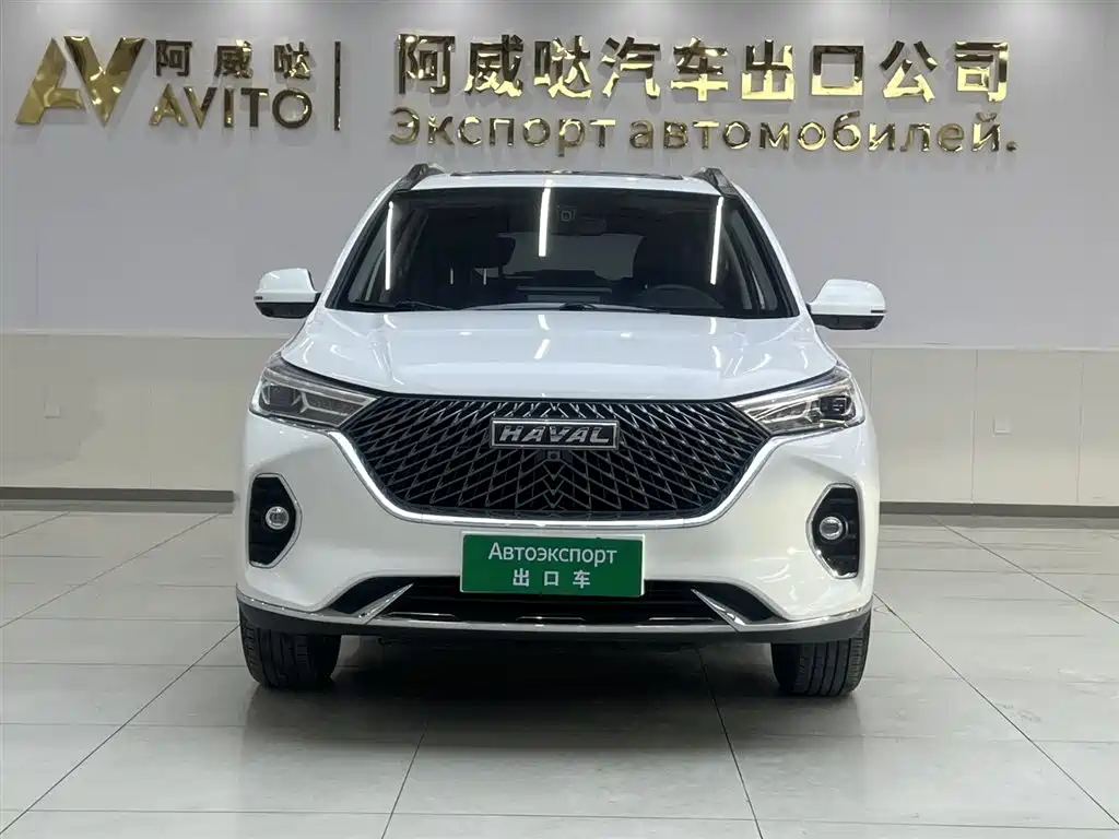 HAVAL M6