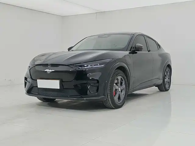 Ford Ford Mustang Mach-E 2021 Leap World RWD (Standard Range)