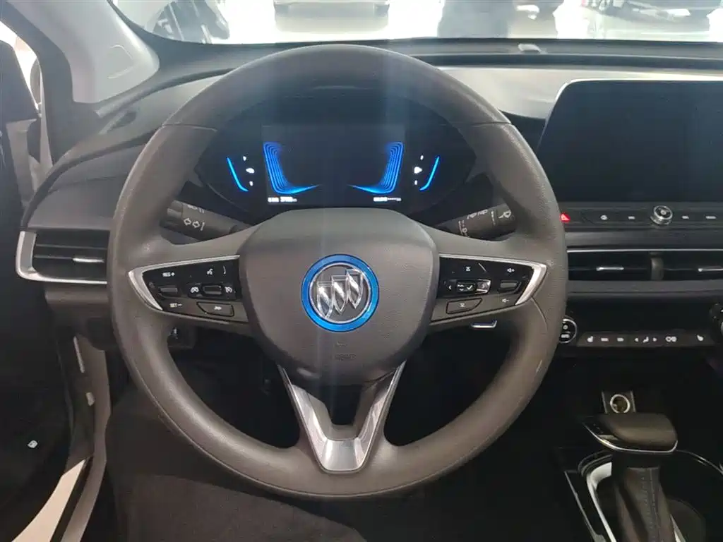 BUICK SLIGHTLY BLUE 6