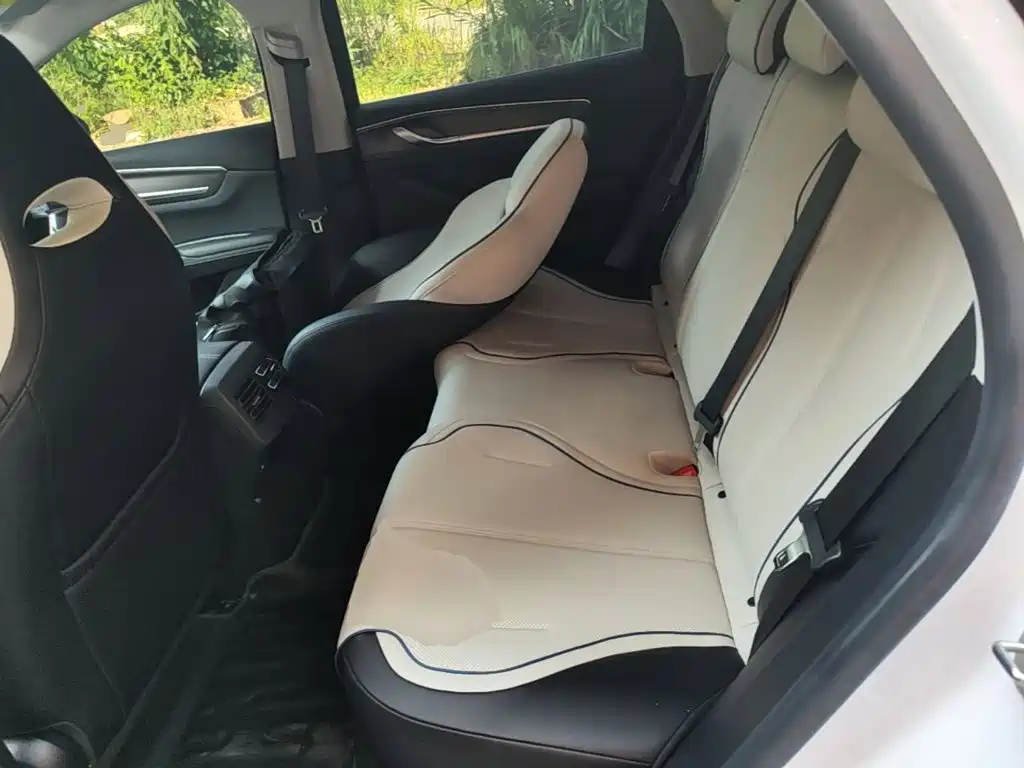 BYD Destroyer 05 2025 2024 Glory Edition DM-i 55KM Luxury
