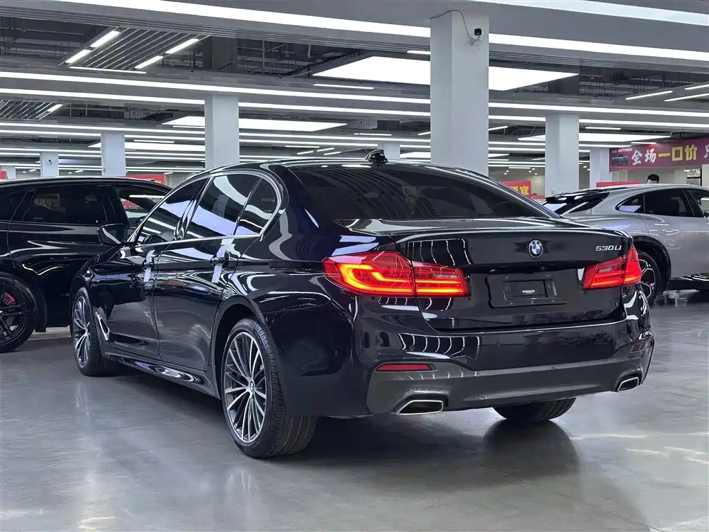BMW 5 Series 2020 530Li Leading M Sport Package фото 13