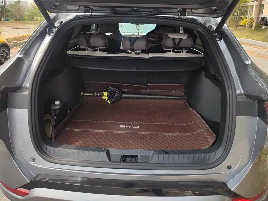 BYD SONGJIANG NEW ENERGY