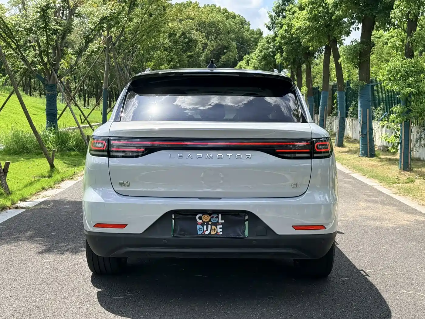 Leapmotor C11 2022 2021 Model Premium Edition