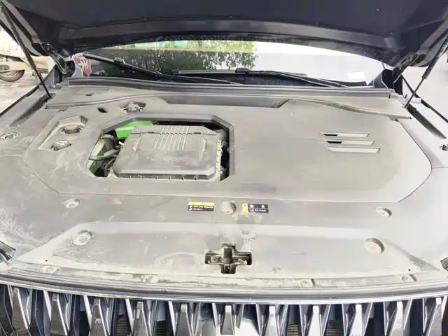 GAC Trumpchi Trumpchi ES9 2024 Model PHEV 143km Max — фото 3