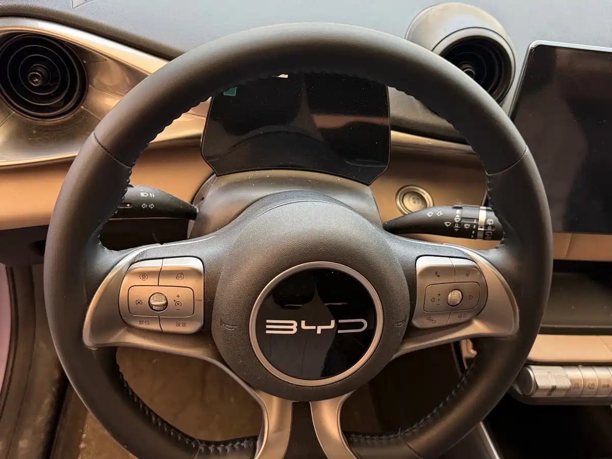 BYD Dolphin 2024 Glory Edition 420km Freedom Edition фото 2