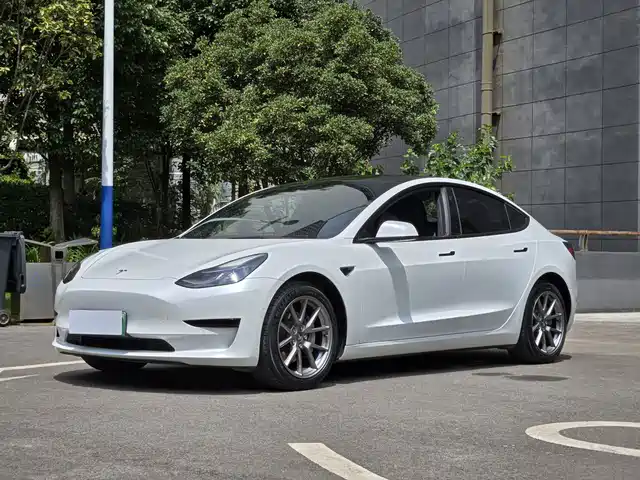 Tesla Model 3 Задний привод