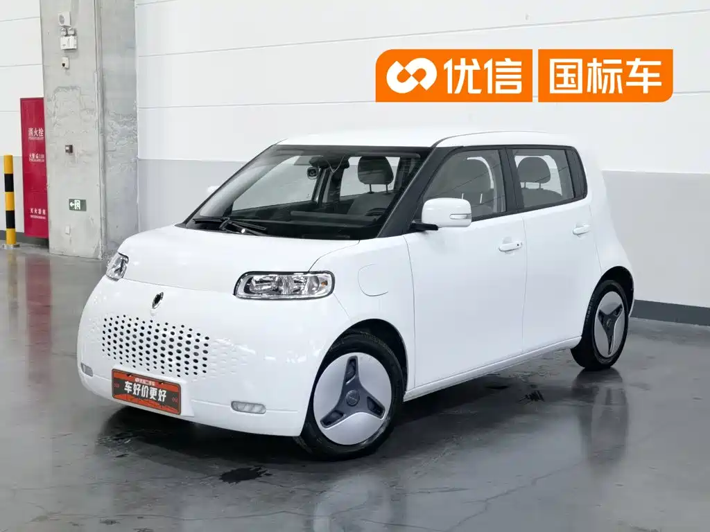 Ora White Cat 2021 2020 360km Luxury Model