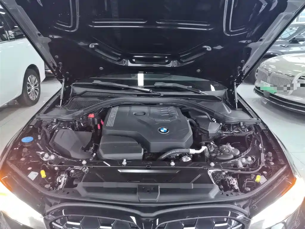 BMW 3 Series 2023 325Li M Sport Black Night Package фото 20