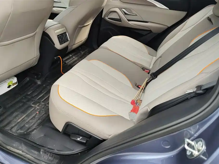 BYD Song Pro New Energy 2024 Glory Edition DM-i 110KM Excellence фото 11