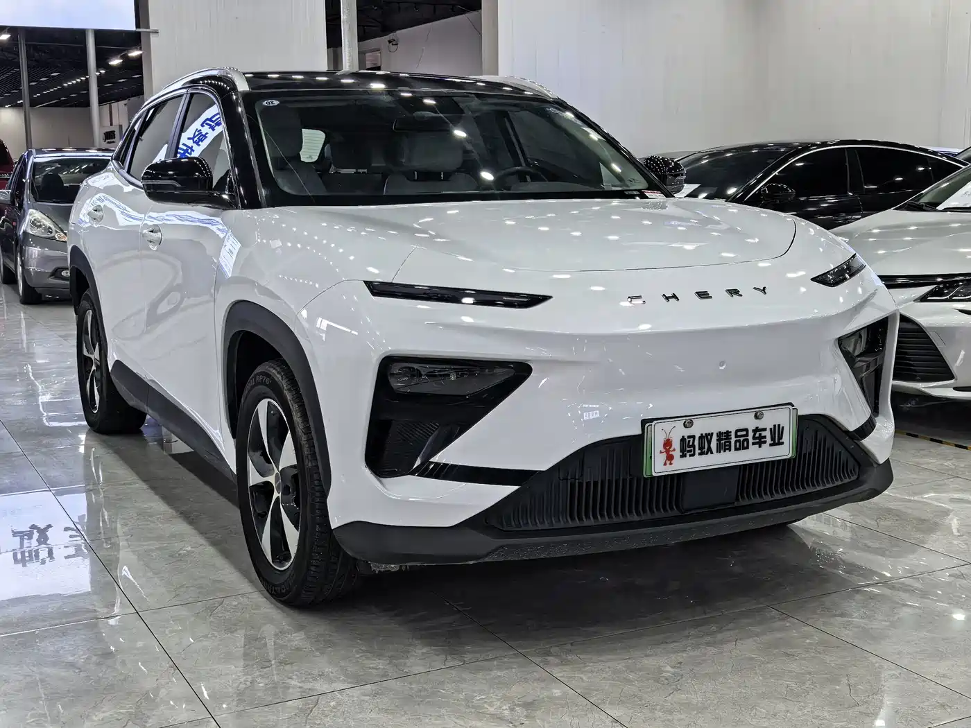 Chery New Energy Chery Comfort Home 2024 2024 512km Joyride Edition