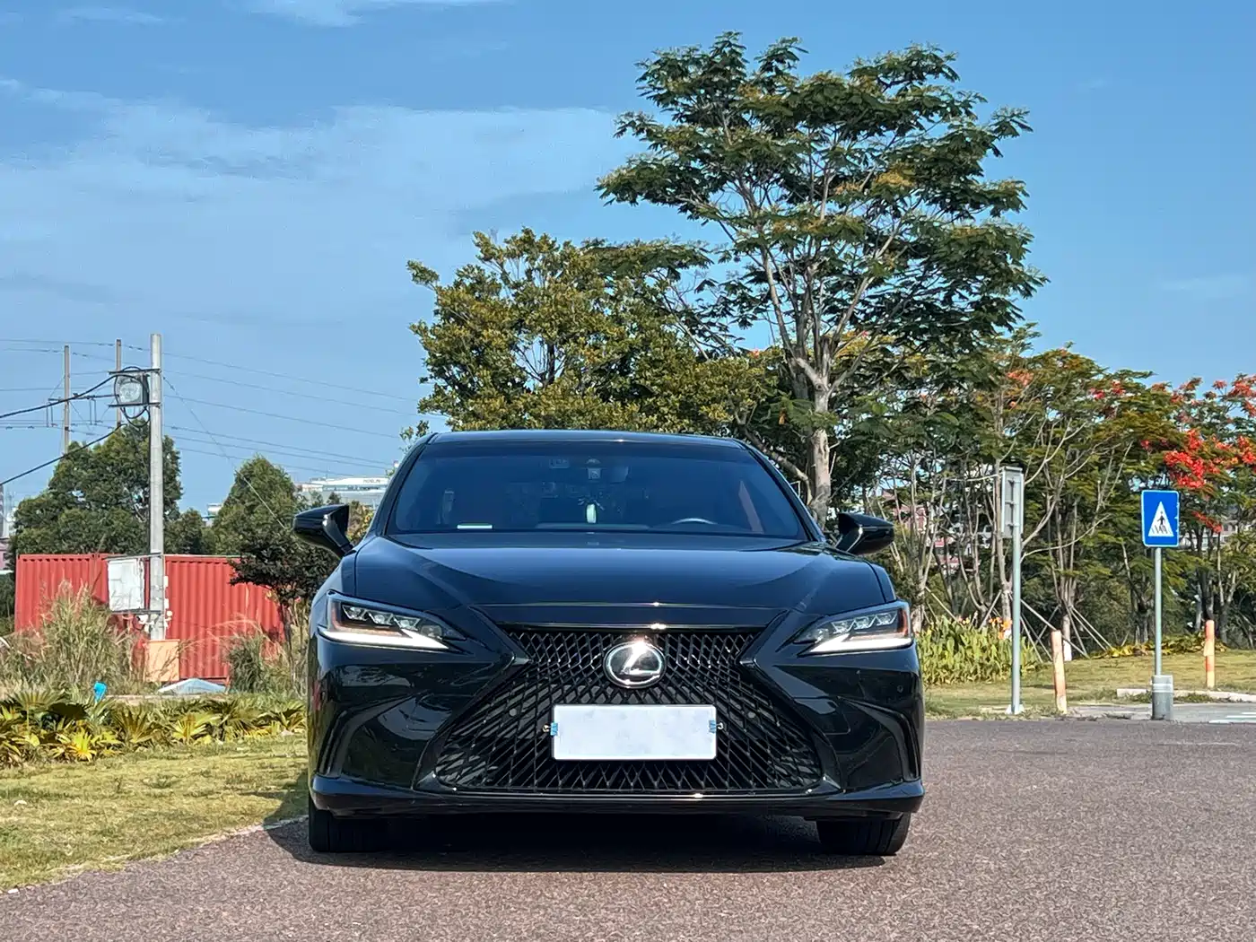 Lexus ES 2023 200 Excellence Edition фото 2