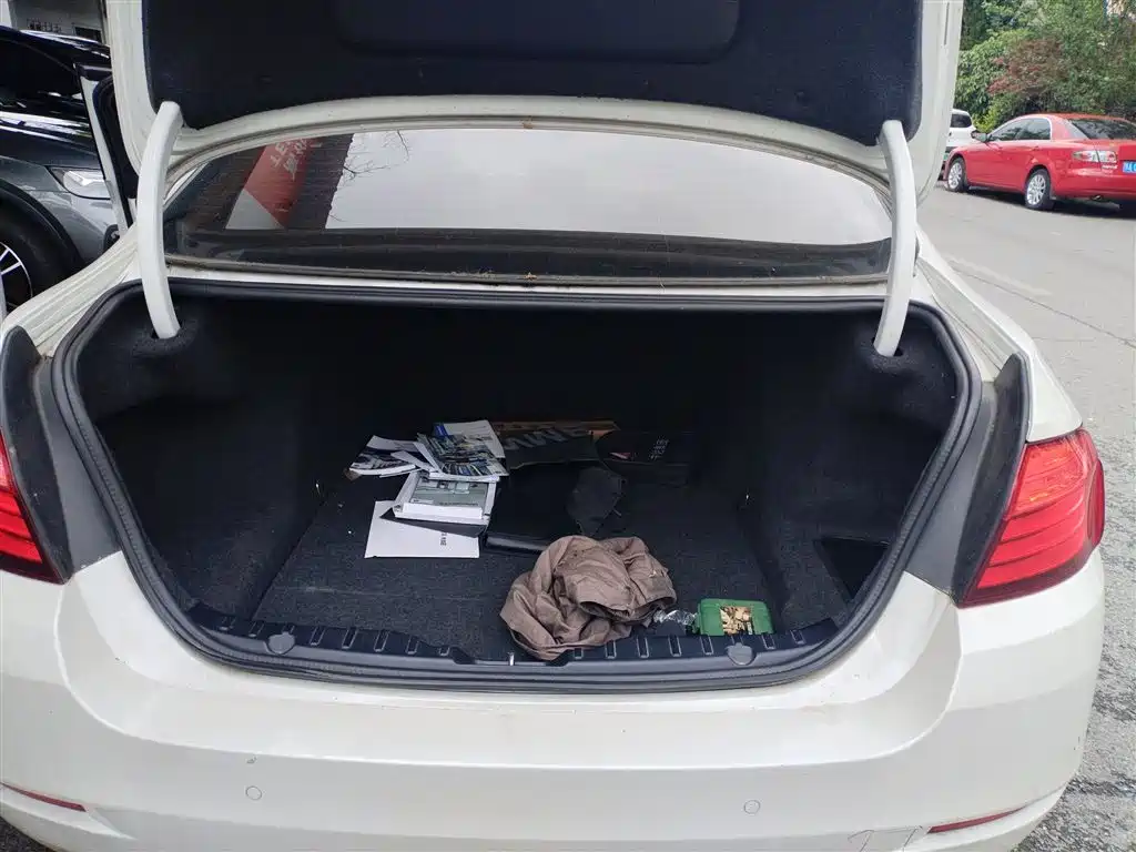 BMW 5 Series (Import) 2014 520i Classic фото 15