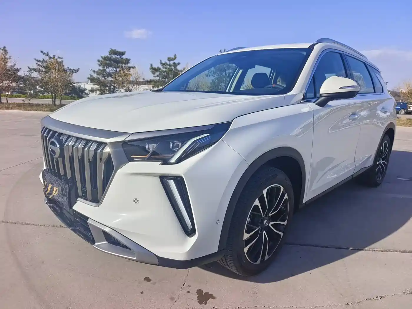GAC Trumpchi Trumpchi GS4 PLUS 2023 390T Auto Nebula Edition