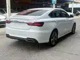 Фото 8 - Geely Binrui