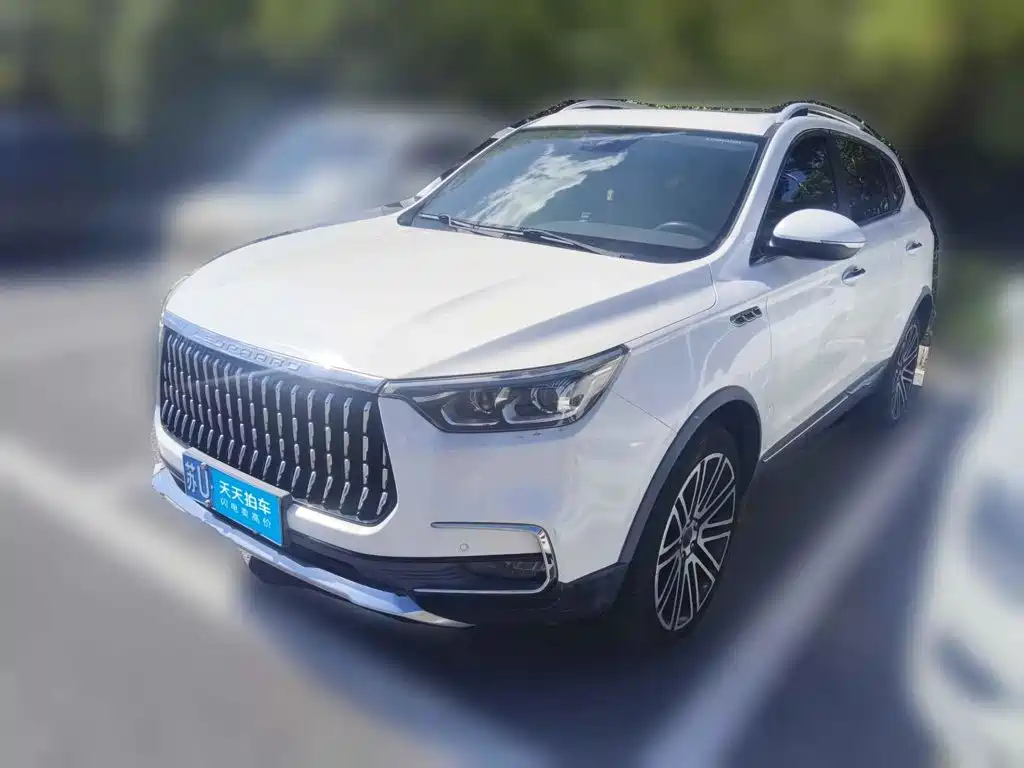 Leopaard Mattu 2019 2018 1.6T GDI DCT Elite