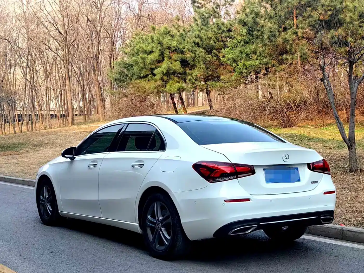 Mercedes-Benz A-Class 2019 A 200 L фото 4