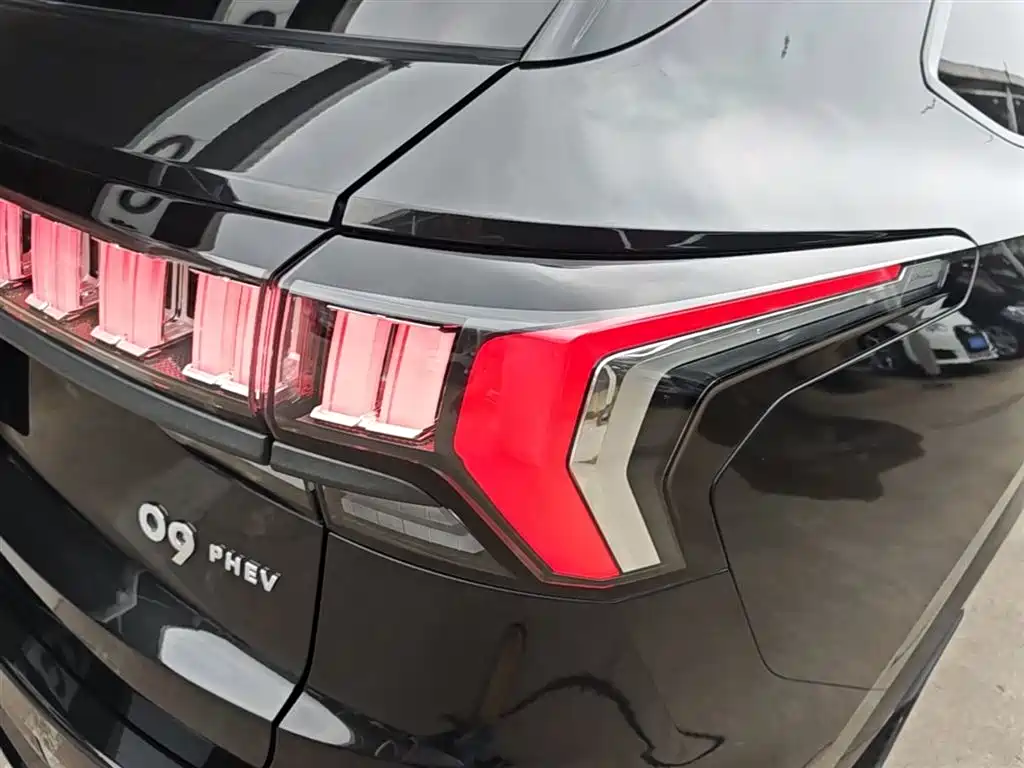 Lynk & Co 09 EM-P 2021 2.0T PHEV Halo 7-Seater фото 8