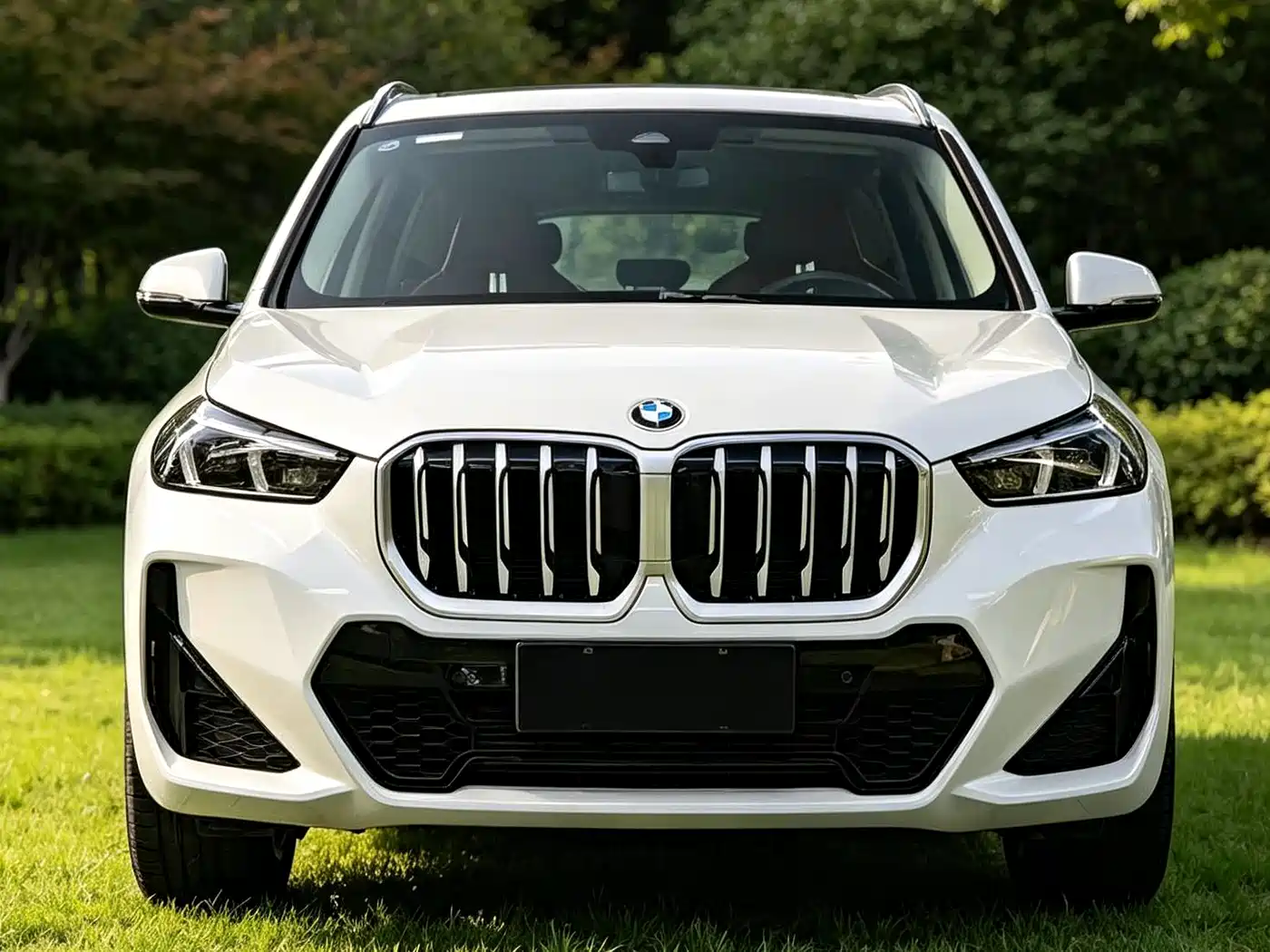 BMW X1 2025 2024 xDrive25Li M Sport Package