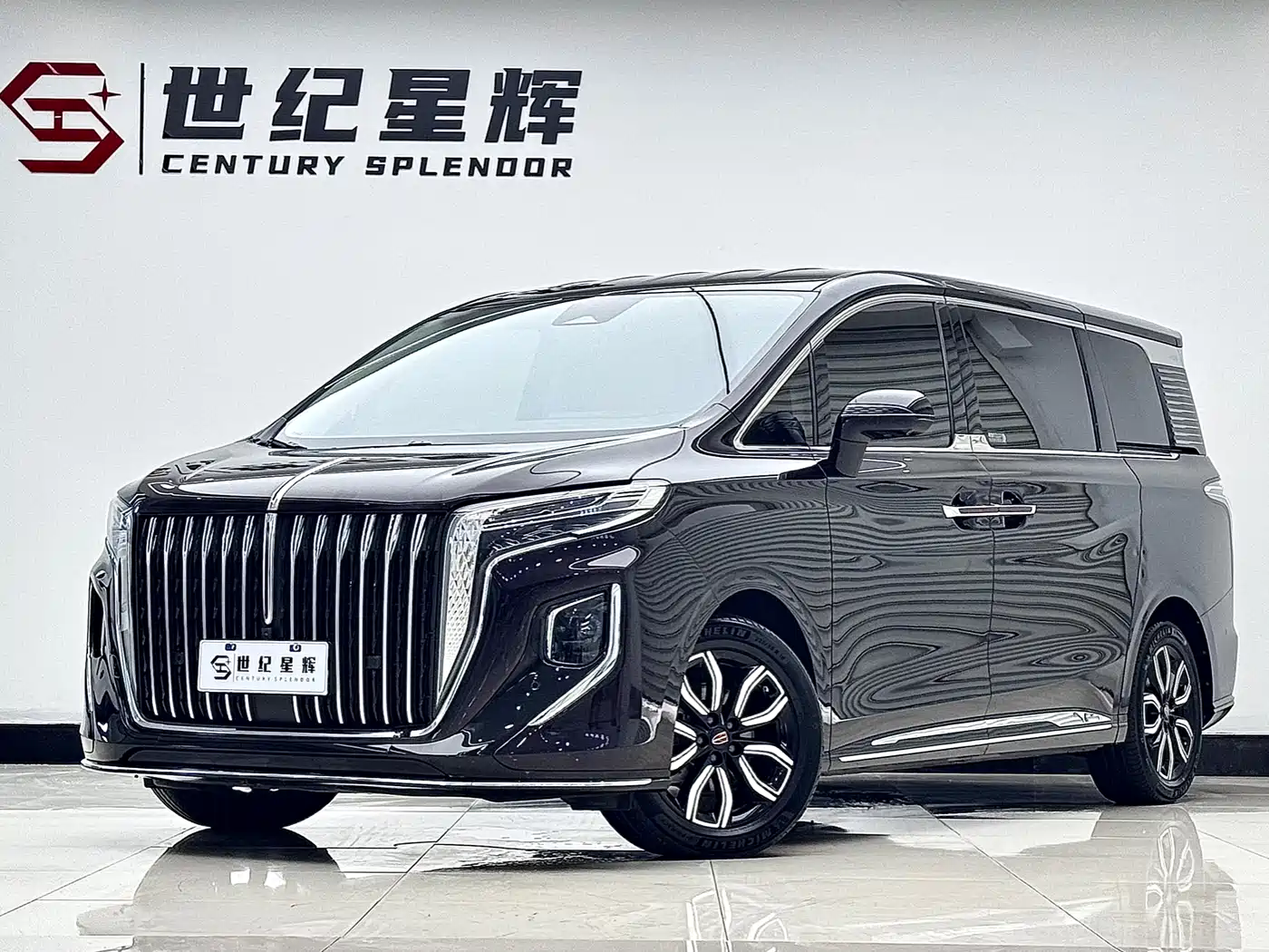 Hongqi HQ9 2023 2.0T Smart Connect Flagship