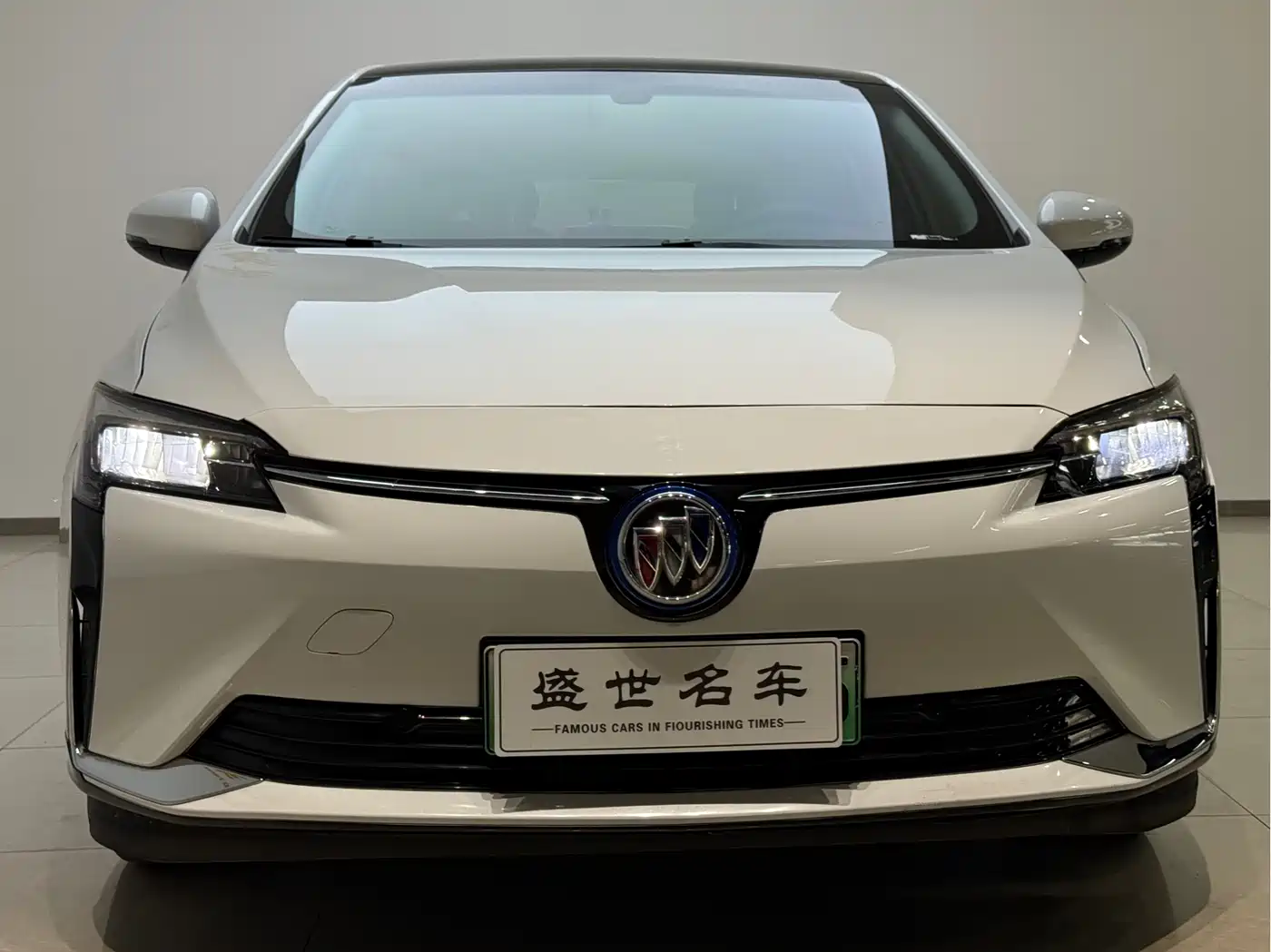 Buick Velite 6 2023 430km Premium Edition фото 3