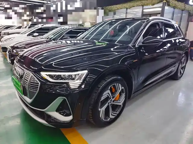  Audi Audi e-tron 2021 50 quattro Exclusive Selection