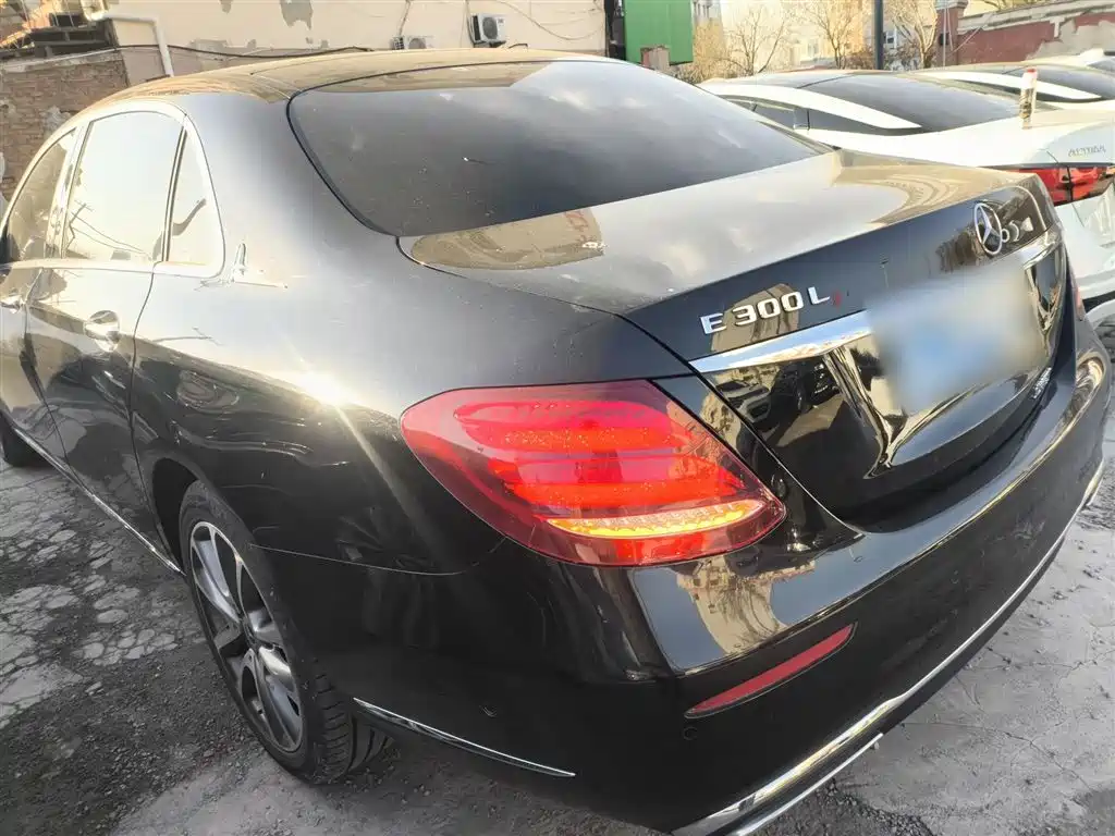 Mercedes-Benz E-Class 2019 E 300 L Luxury фото 23