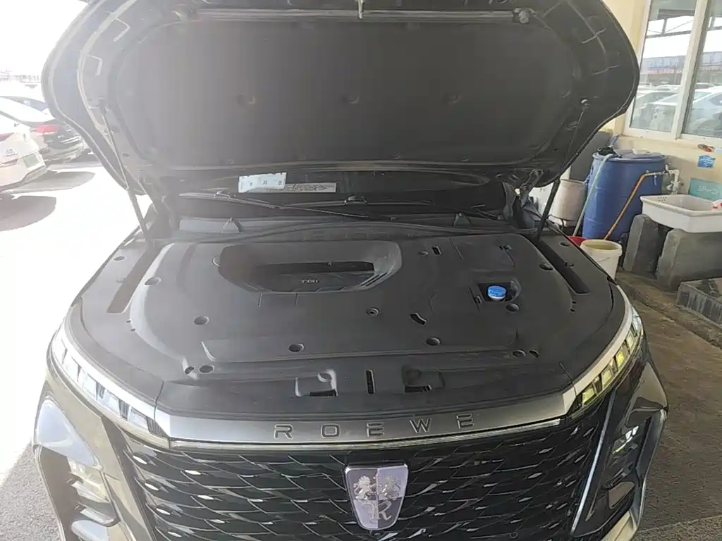 Roewe RX5 MAX 2022 2022 2.0T Automatic Supreme Edition